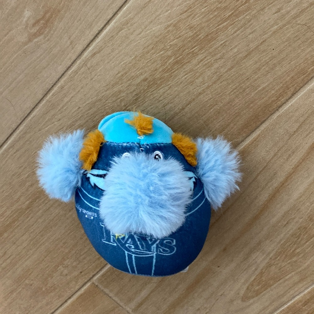 Rays mascot